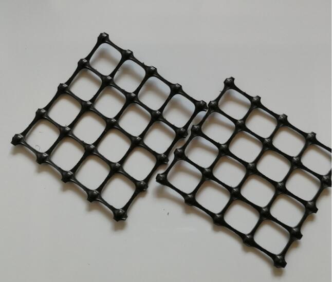 �p���������